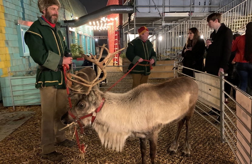 Reindeer