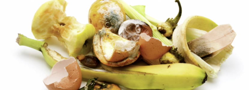 Photo of food waste 