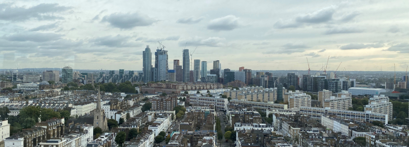 Pimlico Skyline