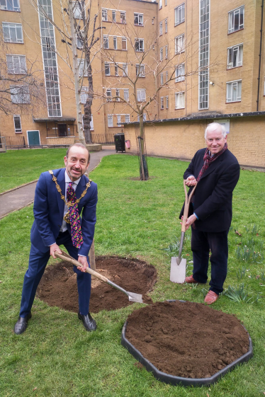 Tree Planting